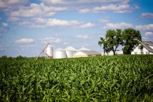 wpid-farmland-indiana5.jpg